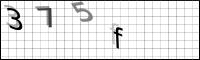 Captcha Bild