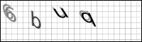 Captcha Bild