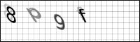 Captcha Bild
