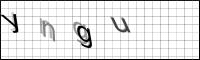 Captcha Bild