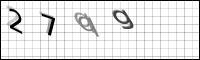 Captcha Bild