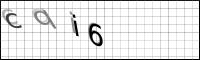 Captcha Bild