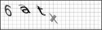 Captcha Bild