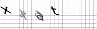 Captcha Bild