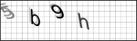 Captcha Bild