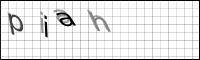 Captcha Bild