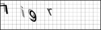 Captcha Bild