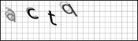 Captcha Bild