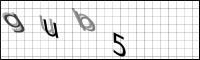 Captcha Bild