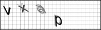 Captcha Bild