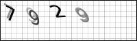 Captcha Bild