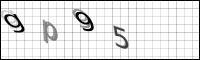 Captcha Bild